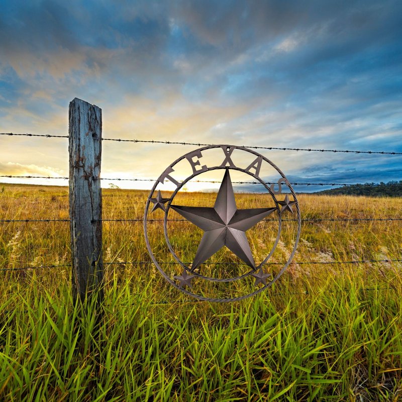 BestGiftEver 24" Metal Wall Hanging Decoration - Rustic Western Wall Sculpture Texas Pride Home Decor, Rustic Wall Art for Living Room, Cowboy & Western Decor, Metal Texas Star Wall Art