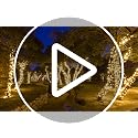 Wintergreen Lighting 70 LED Red & Green Christmas String Lights 24ft Indoor Outdoor
