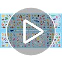40 Animal Window Clings - Safari Wildlife Jelly Stickers for Kids