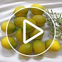 12 Artificial Yellow Lemons - Realistic Faux Fruit Decor