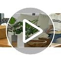 16-Inch Artificial Potted Plants, 2-Pack Faux Greenery for Desk Decor