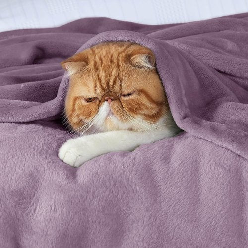 Bedsure GentleSoft Fleece Blanket - Lightweight Plush Cozy Twin Size Fog Purple 60x80 Inches
