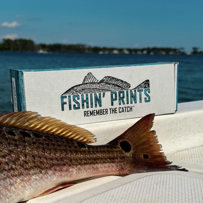 Fishin' Prints Standard Pack DIY Gyotaku Fish Printing Kit - Large Cloth Sheets 36"x18" - Natural Food Grade Cuttlefish Ink - Gift for Fishermen - Gyotaku Fish Printing Supplies