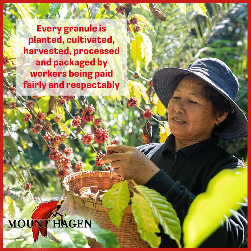 Mount Hagen 7.05oz Organic Freeze-Dried Instant Coffee | Medium Roast Arabica Beans | Fair-Trade, Eco-Friendly in Resealable Pouch Bag