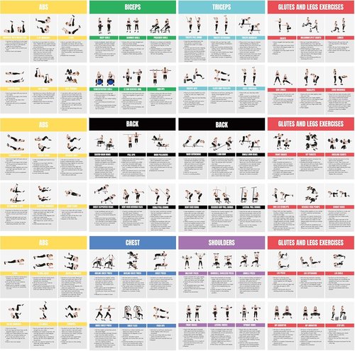 Full Body Workout Poster by [Brand Name] - Ultimate Home Gym Exercise Chart for Glutes, Legs, Back & Abs | Strength Training Guide with Squats, Lunges & Core Exercises