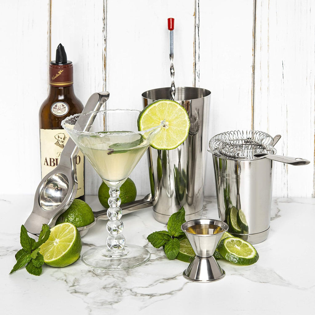 Skiennix Cocktail Shaker Set - 16-Piece Stainless Steel Mixology Kit with Bar Tools & Recipe Book | Silver