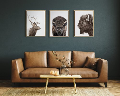 Kate and Laurel Sylvie Bison Portrait Framed Canvas Wall Art by Amy Peterson Art Studio; 18x24 Natural; Modern Animal Portrait Art for Wall