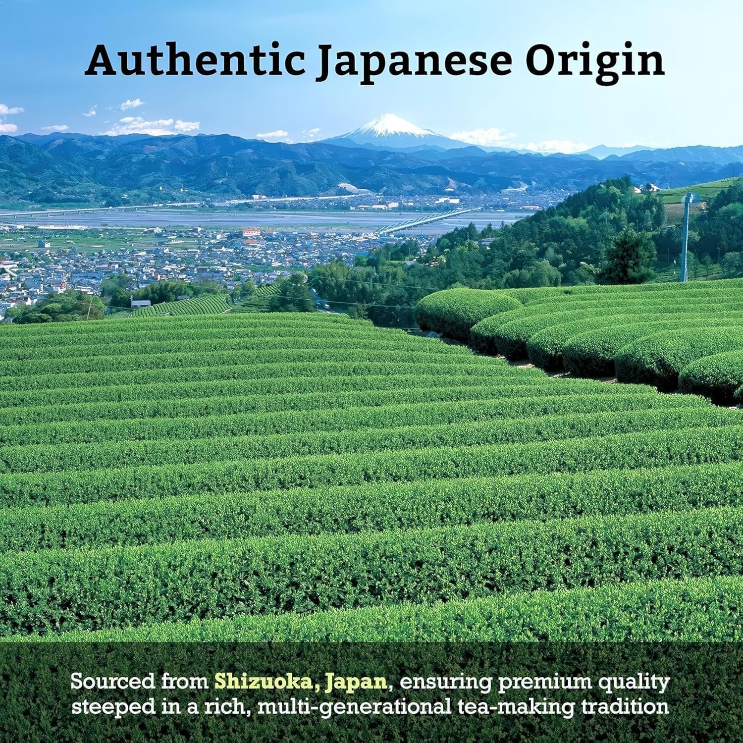 SUGIMOTO TEA Matcha Powder - Ceremonial Grade "KOCHI" - Premium Japanese Green Tea, 1.05 oz (30 g)