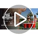 Giant Yard Pong Set - 24 Heavy-Duty 110oz Party Cups and 4 XL Pong Balls
