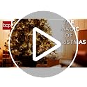 7.5ft Unlit Artificial Christmas Tree - Realistic Spruce with Metal Base