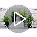 Small Artificial Plants in Black Pots (4 Pack) - Realistic Faux Greenery
