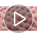 Smoofy Faux Rabbit Fur Throw Blanket - Blush Pink Bubble Plush 50"x60"