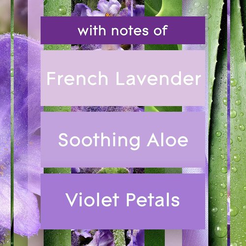 Glade PlugIns Refills Air Freshener - Tranquil Lavender & Aloe Scent, 5 Count | 3.35 Fl Oz
