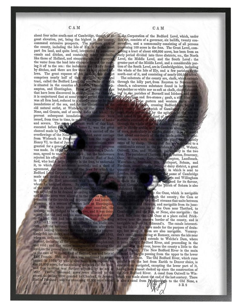 The Stupell Home Decor Collection Classic Novel Drama Llama Framed Giclee Texturized Art