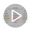 DORONAN Clear Plastic Champagne Tower Glasses 20 Pack, Unbreakable 7oz Coupe for Wedding & Party