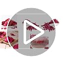 Natural Dried Red Rose Petals for Wedding Decor, Bath Soaks, and Crafting