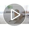 Non-Slip Rug Pad 10x14 Ft - Felt and Rubber Double Layer Carpet Cushion