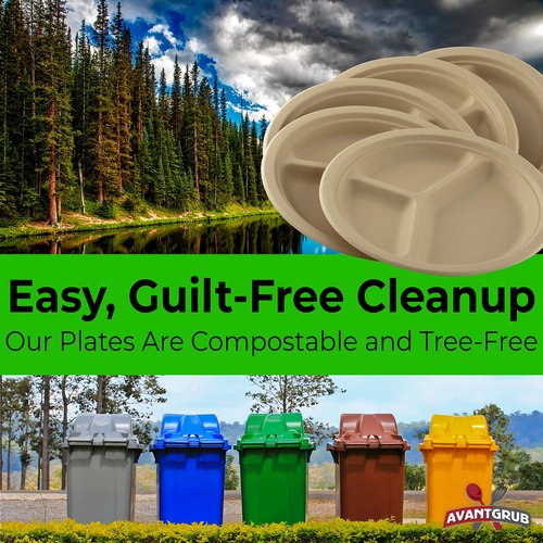 Restaurant-Grade Biodegradable 10 Inch 3-Compartment Plates Bulk 200Pk. Great for Lunch and Dinner Parties. Disposable Compostable Wheatstraw Divided Plates are Leakproof and Microwave Safe.