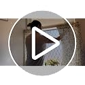 Frosted Black Lattice Window Film - Static Cling Privacy Film 17.7x78.7