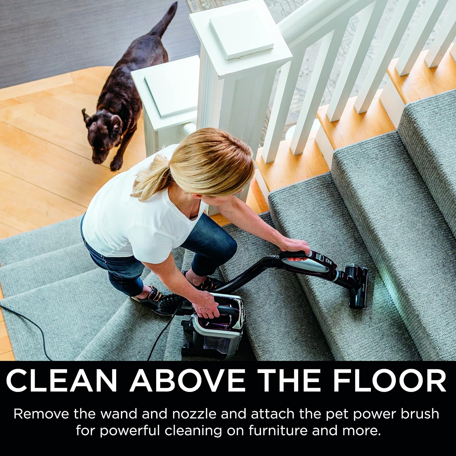 Shark NV752 Rotator Upright Vacuum - Powered Lift-Away with HEPA Filter & LED Headlights | Bordeaux