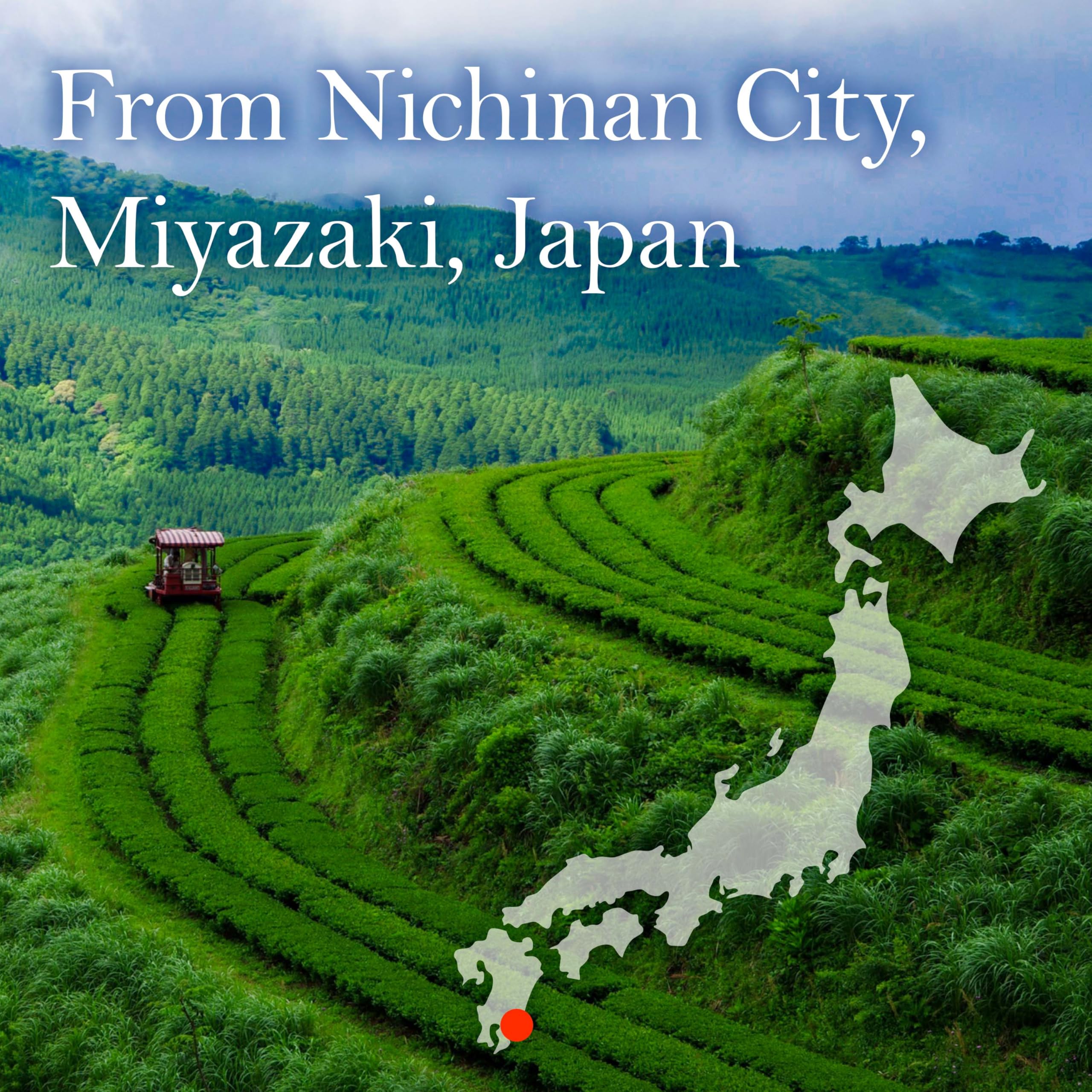 chaganju Green Tea Sencha Fukamushi - deep-steamed green tea - Japanese Organic Loose Leaf Tea, 80g【YAMASAN】