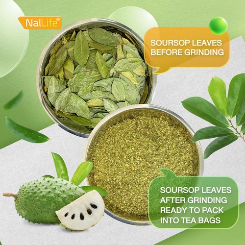 NalLife Soursop Tea Bags 50 Count Tea from 100% Soursop Leaves Caffeine Free No Sugar Added