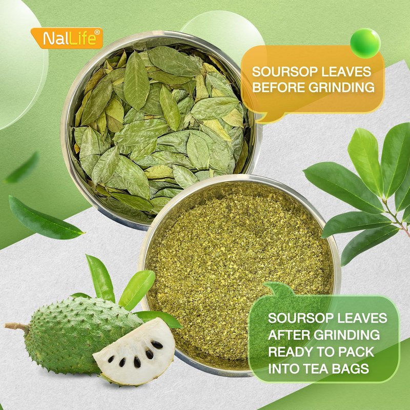 NalLife Soursop Tea Bags 40 Count Tea from 100% Soursop Leaves Caffeine Free No Sugar Added