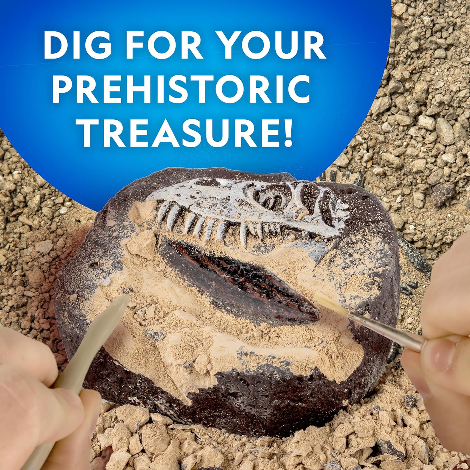 National Geographic Dino Fossil Dig Kit - Excavate Replica Dinosaur Tooth Fossil & Activity Book for Kids