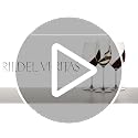 Riedel Veritas New World Pinot Noir Wine Glasses Set of 2