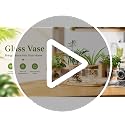 Glass Plant Propagation Station Set of 4 - Desktop Hydroponic Vases