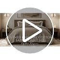 EverGrace 100% Cotton Sateen Channel Quilt Set - Queen 3-Piece, Parchment