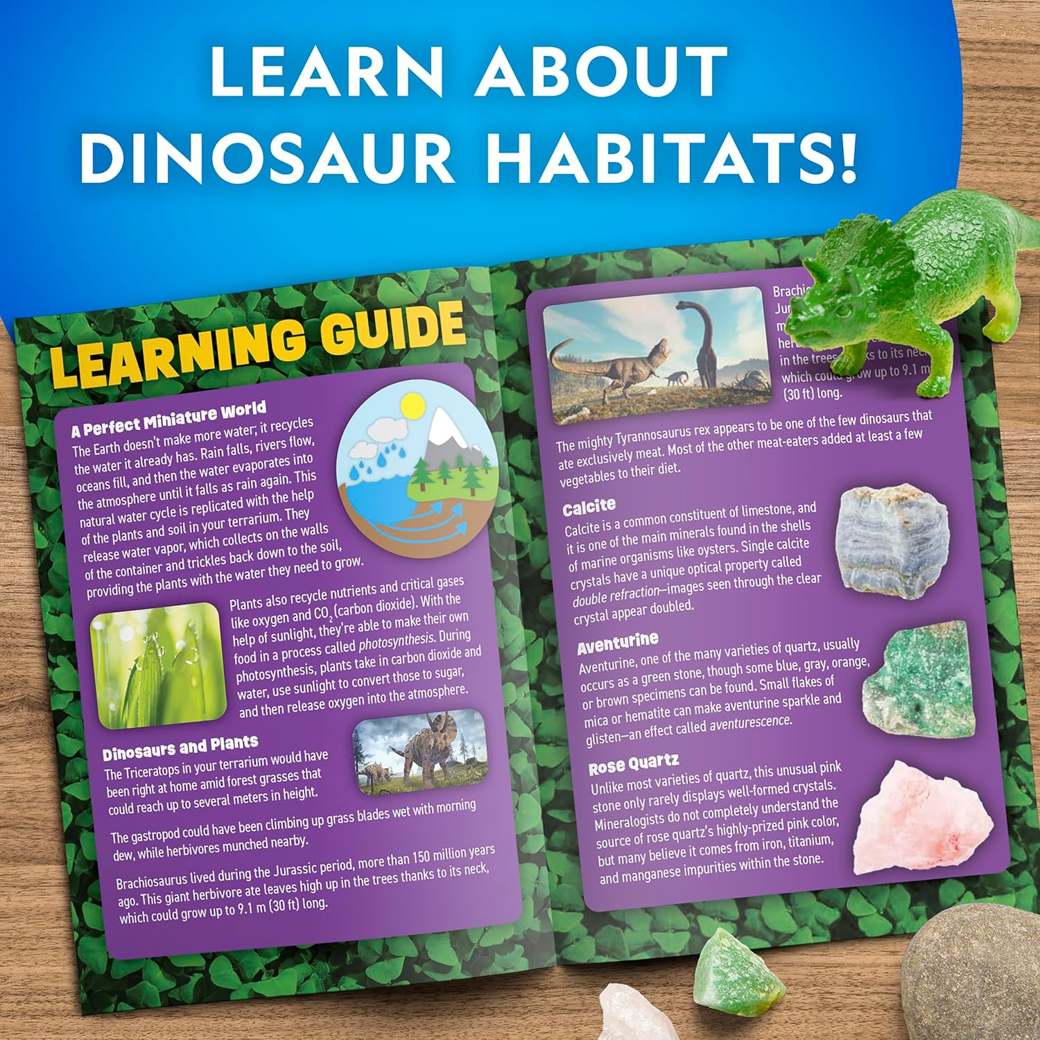 National Geographic Dinosaur Terrarium Kit - Light-Up Dino Habitat with Real Plants & Science Fun for Kids