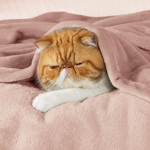 Bedsure GentleSoft Fleece Blanket - Cozy Dusty Pink Queen Size Microfiber, 90x90 Inches