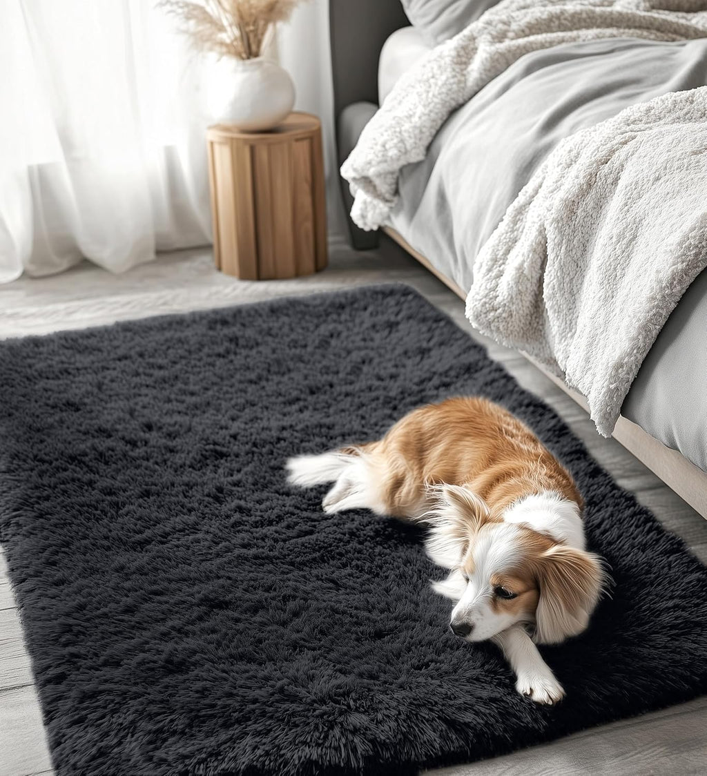OLANLY 4x4 Soft Fluffy Shaggy Accent Rug - Machine Washable Indoor Carpet for Bedroom & Nursery | Black