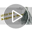 Preserved Eucalyptus Stems for Shower - 17" Natural Dried Plants (12 Pack)