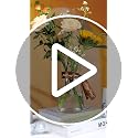 Clear Glass Flower Vase 8 Inch - Modern Minimalist Table Centerpiece