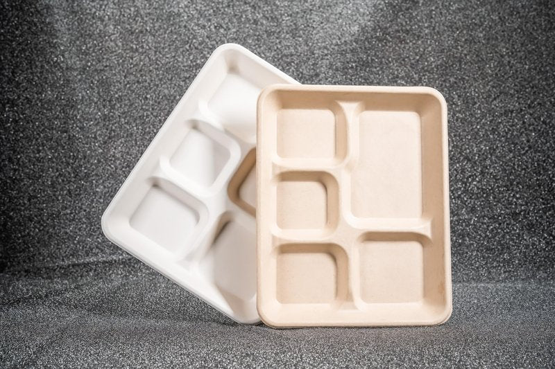 Eland Compostable Plates with Compartments, 5 Compartment Plates Disposable Heavy Duty, Food trays disposable. School Lunch Tray, Plate Dividers, No PFAS, Natural Color-10" x 8"[400-pack]
