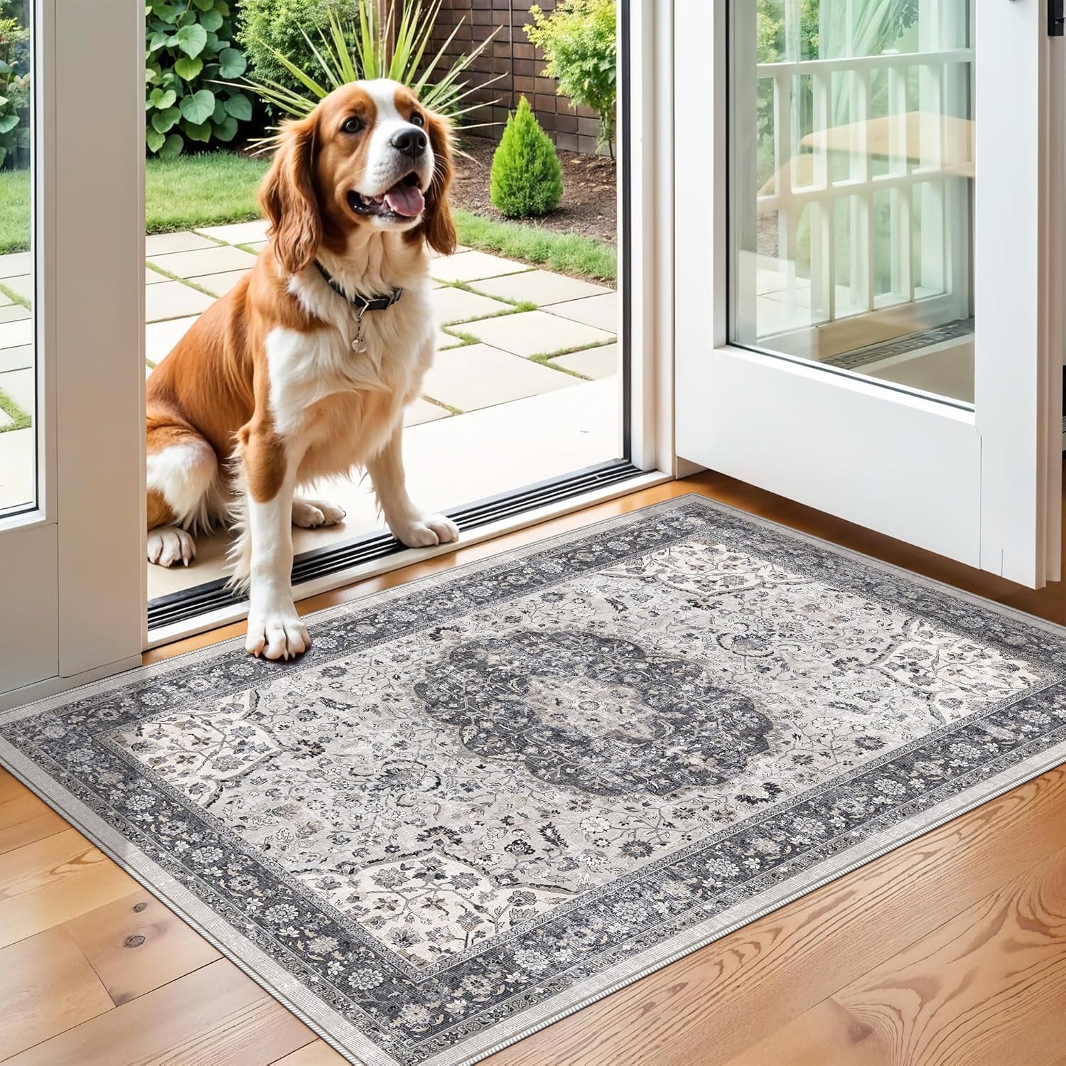 Regine Switzerland Washable 2x3 Entryway Rug - Vintage Soft Thin Non-Slip Mat | Water-Resistant Grey Carpet
