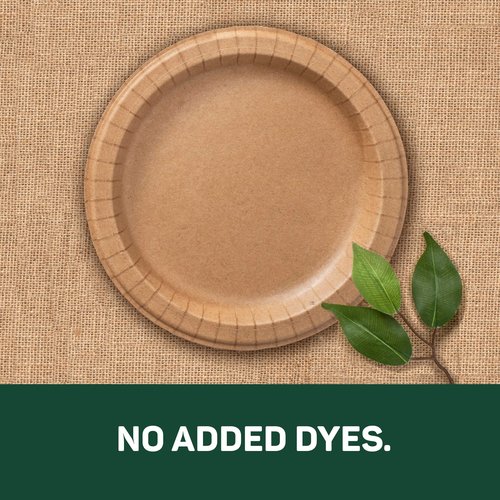 Dixie EcoSmart 100% Recycled Fiber Paper Plates, 10 in, 36 Count, Medium Disposable Plate Great for Light Breakfast, Lunch, and Dinner Size