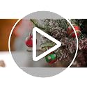 120 Pcs Black Metal Ornament Hooks with Storage Box for Christmas Tree
