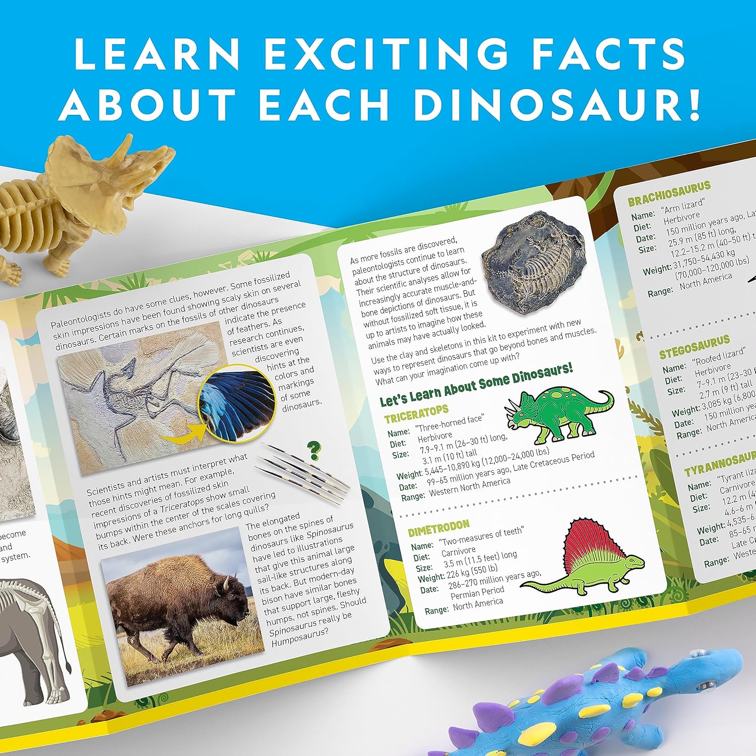 National Geographic Clay Dinosaur Arts & Crafts Kit - Air Dry Clay, 5 Colors & Dino Skeletons for Kids Ages 4-10