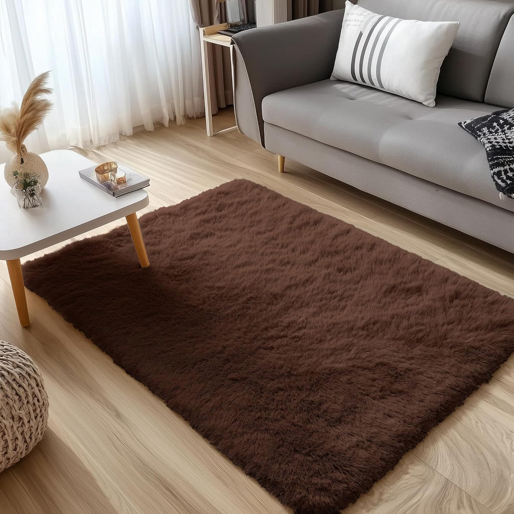 OLANLY Accent Rug - Soft Fluffy Shaggy Area Rug for Bedroom & Living Room | Machine Washable 3x4 ft