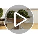 6-Inch Preserved Boxwood Decorative Ball for Indoor Home Decor