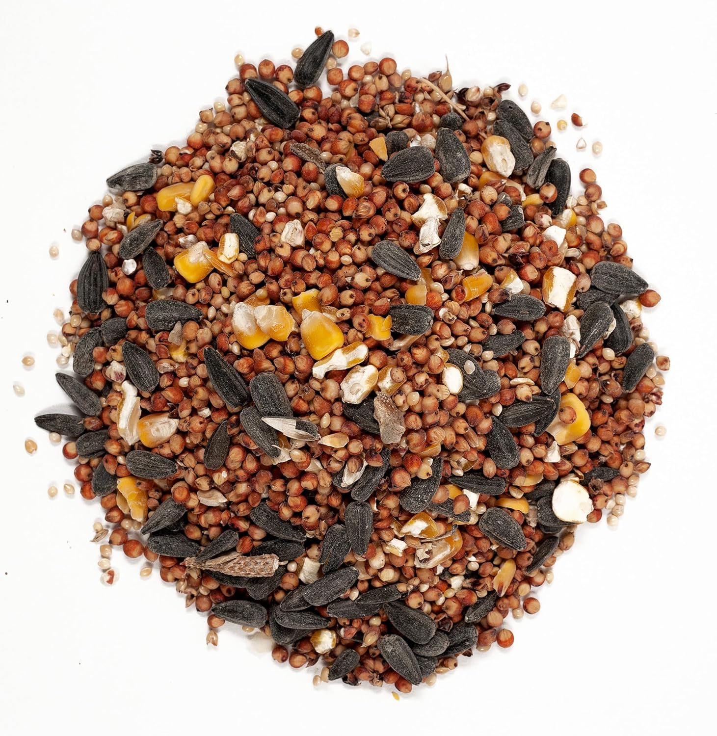 Wagner's 53002 Wild Bird Food - Cherry Flavor, 10-Pound Bag for Happy Birds