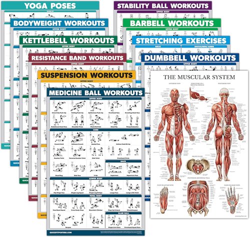 11 Pack Exercise Poster Set - Laminated Workout Guides for Dumbbell, Kettlebell, Yoga & More | 18" x 24"
