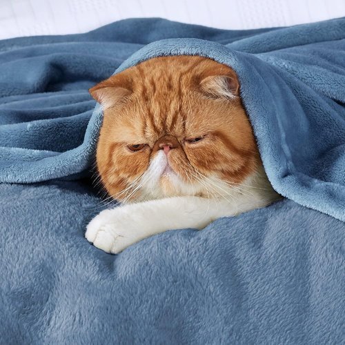 Bedsure GentleSoft Fleece Blanket - King Size Plush Cozy Microfiber in Washed Blue, 108x90 Inches