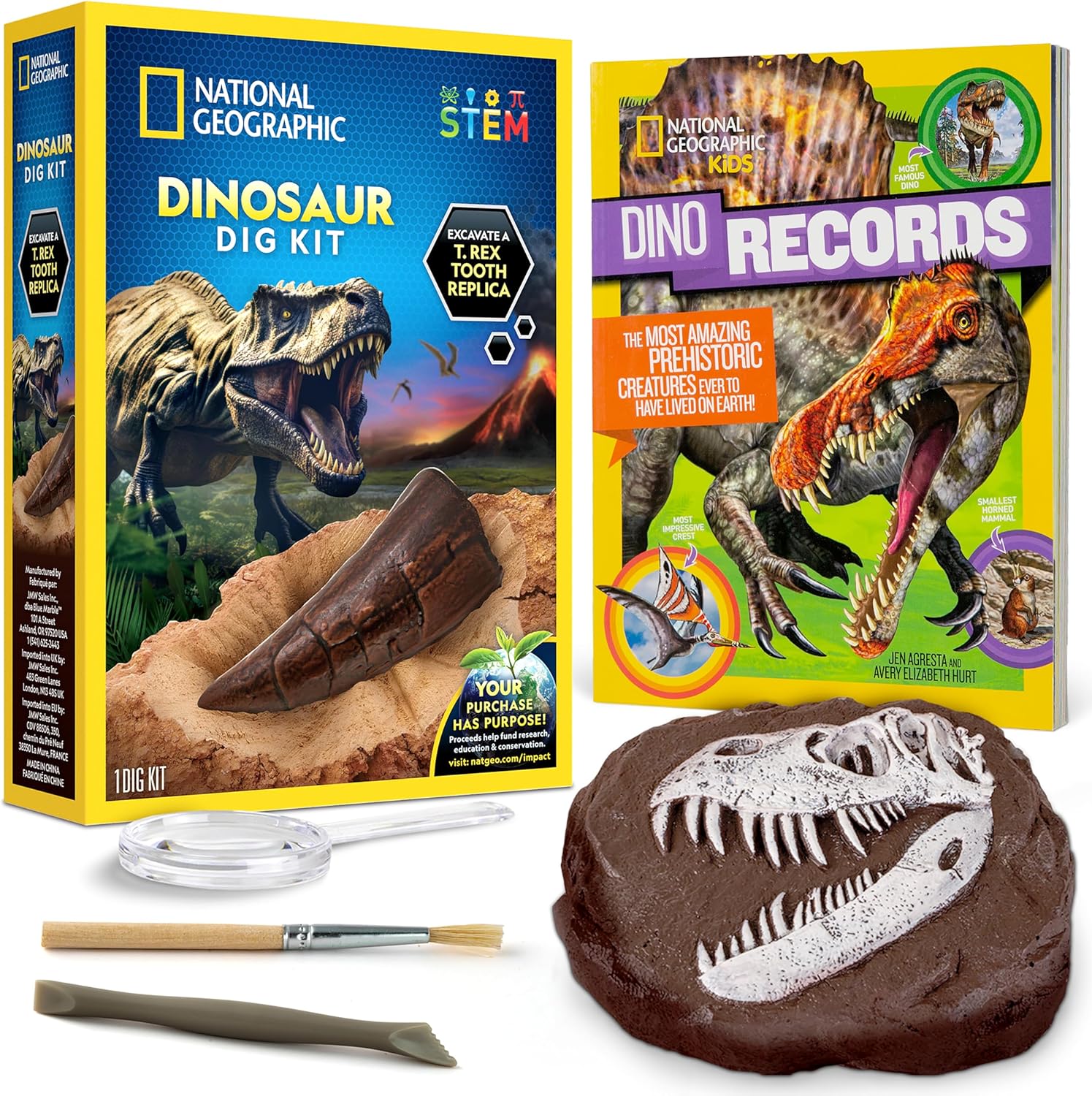 National Geographic Dino Fossil Dig Kit - Excavate Replica Dinosaur Tooth Fossil & Activity Book for Kids
