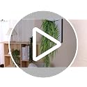 4-Pack Artificial Hanging Plants in Black Pots - Faux Cascading Vine Wall Decor