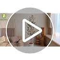 7ft Faux Olive Tree Artificial Indoor Plant with Natural Wood Trunk