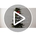7.5ft Pre-Lit Slim Artificial Christmas Tree with 2-in-1 LED Lights
